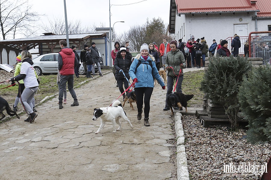 Bieg na Sześć Łap, fot. 7