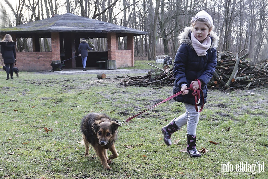 Bieg na Sześć Łap, fot. 32