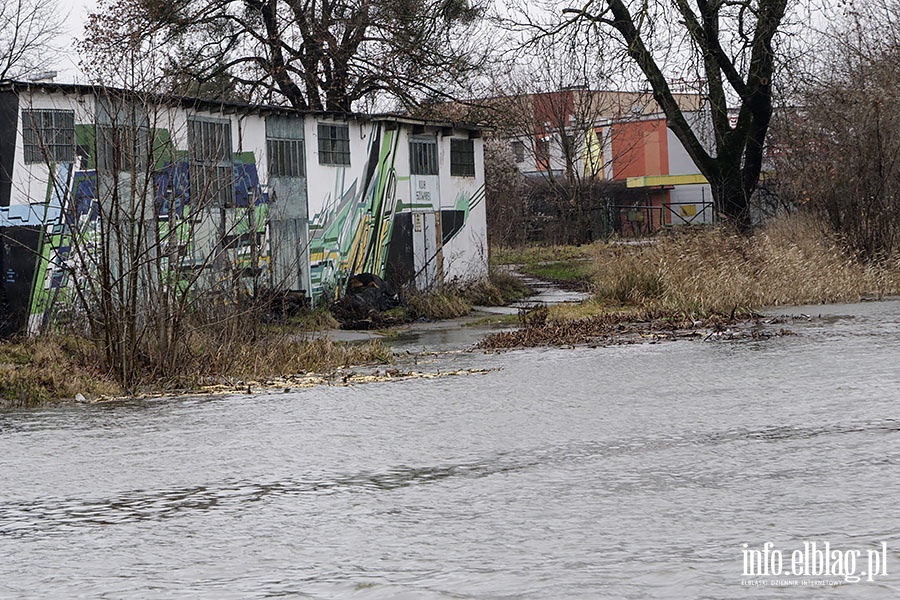 Wysoka woda na rzece Elblg, fot. 11