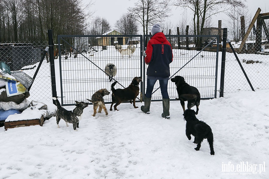 Orodek Okresowej Rehabilitacji Zwierzt, fot. 2