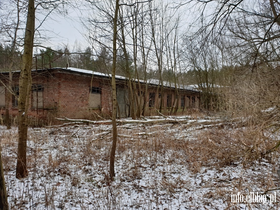 Kuchnia obozowa i hale są w opłakanym stanie. Czy trafią do Muzeum Stutthof?, fot. 15