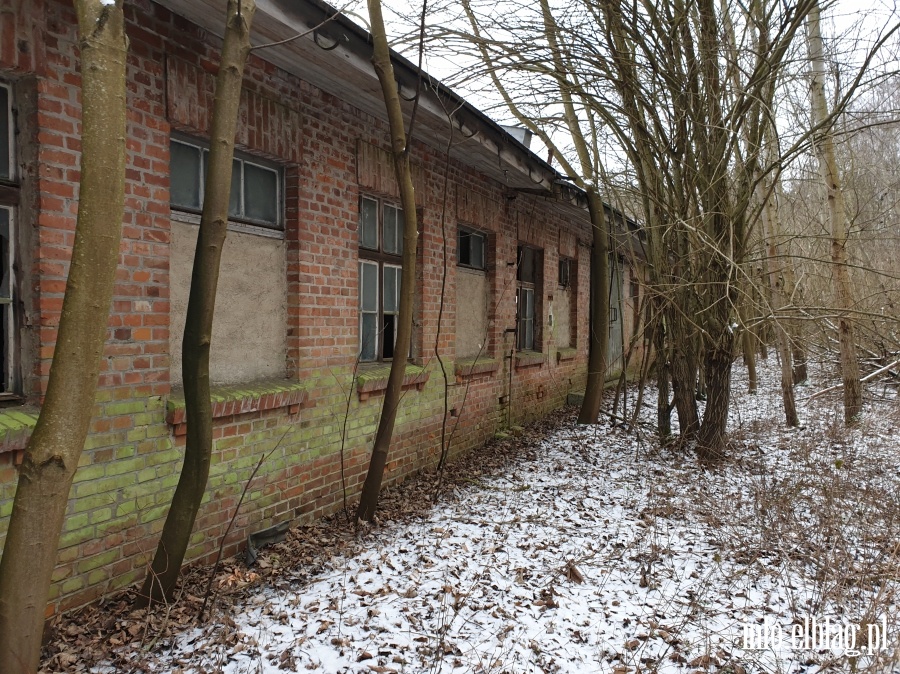 Kuchnia obozowa i hale s w opakanym stanie. Czy trafi do Muzeum Stutthof?, fot. 16