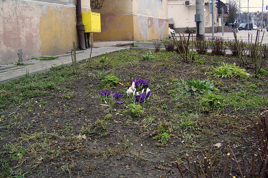 Akcja Posesja: Chrobrego – Agrykola - Bema, fot. 26