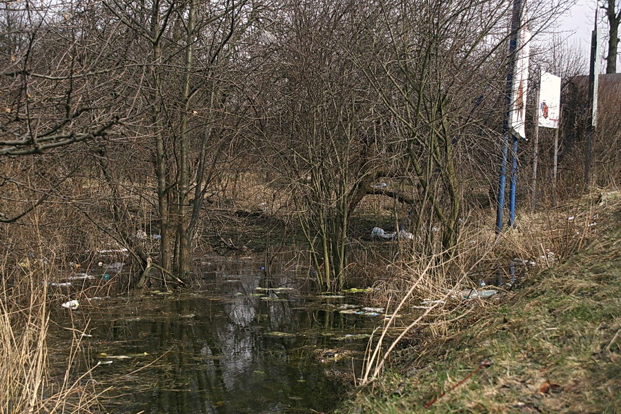 Akcja Posesja: os. Kamionka I i cz os. Nad Jarem, fot. 16