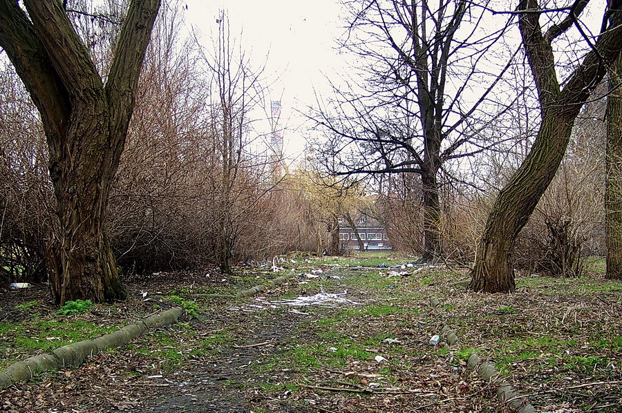 Akcja Posesja: Browarna - Lubraniecka - Obrocw Pokoju, fot. 12