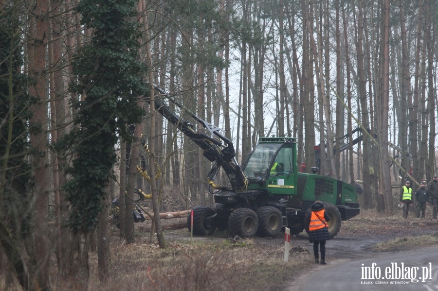 Wycinka drzew w miejscu Przekopu Mierzei Wilanej, fot. 36