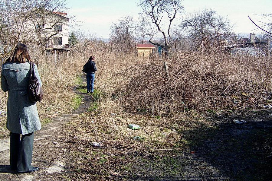 Akcja Posesja: Komeskiego – czycka - Grottgera, fot. 25