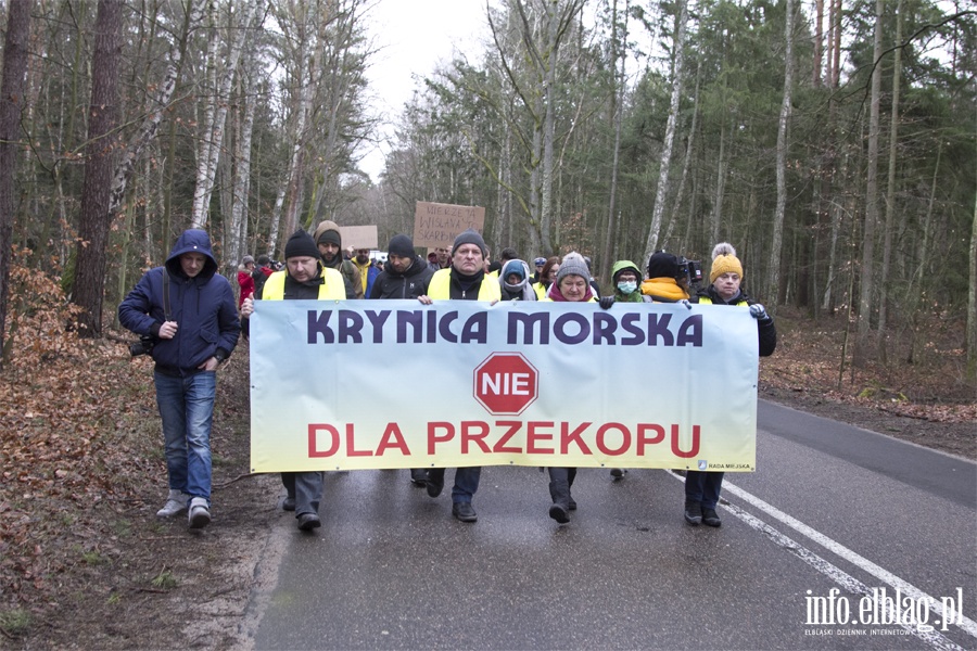 "Jest jeszcze szansa zatrzymać tę dewastację". Protest z wycinką w tle, fot. 2