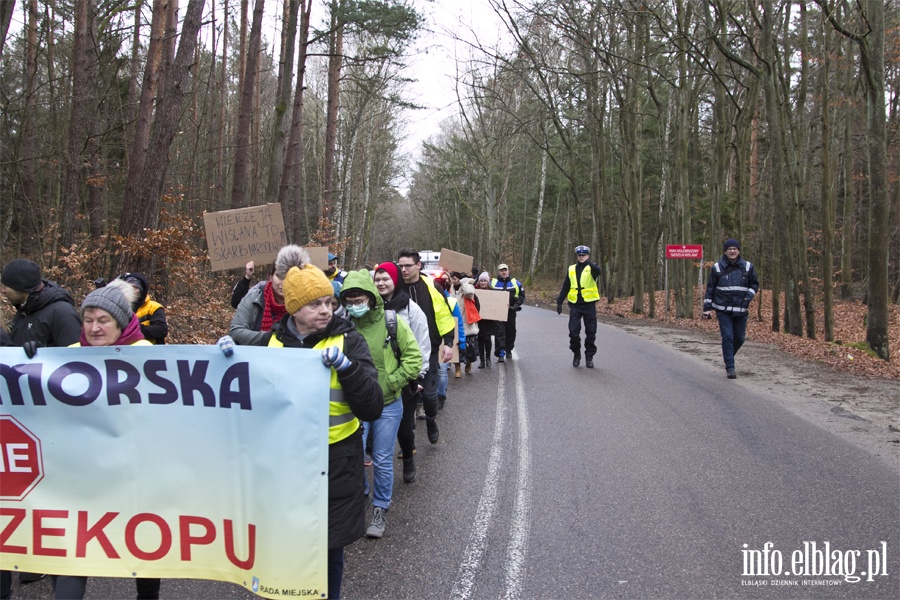 "Jest jeszcze szansa zatrzymać tę dewastację". Protest z wycinką w tle, fot. 3