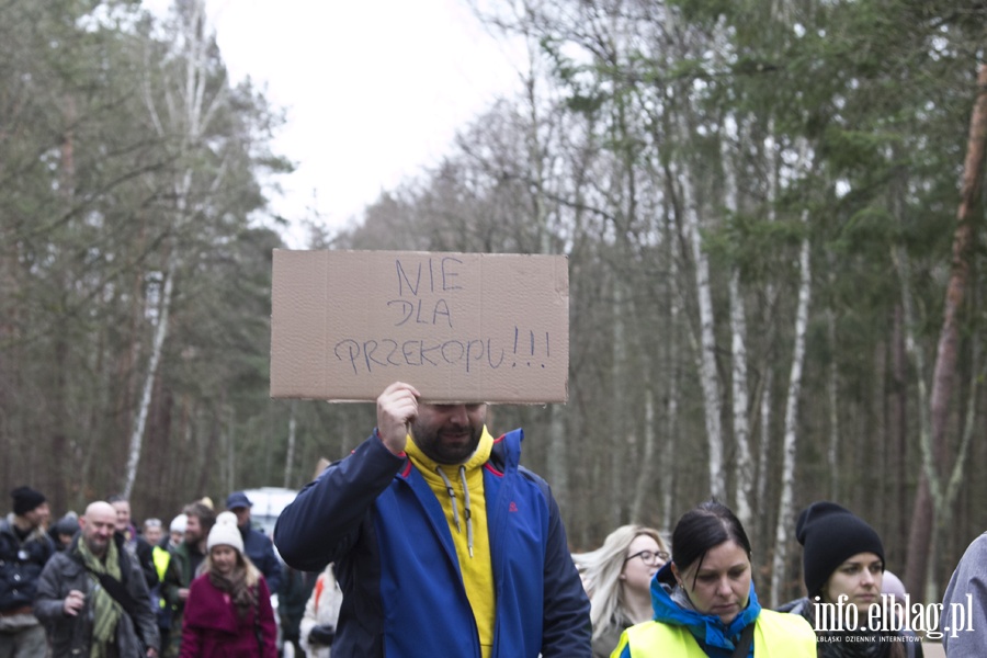 "Jest jeszcze szansa zatrzyma t dewastacj". Protest z wycink w tle, fot. 6