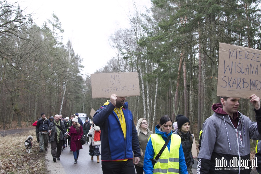 "Jest jeszcze szansa zatrzyma t dewastacj". Protest z wycink w tle, fot. 7