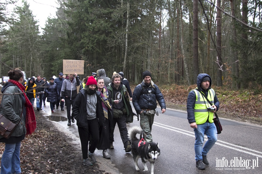 "Jest jeszcze szansa zatrzyma t dewastacj". Protest z wycink w tle, fot. 8