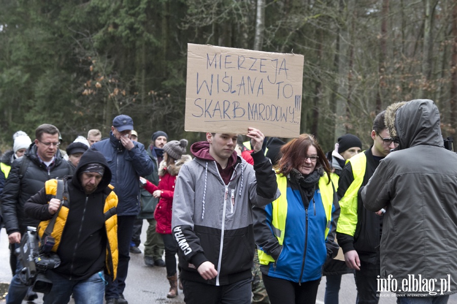 "Jest jeszcze szansa zatrzyma t dewastacj". Protest z wycink w tle, fot. 9