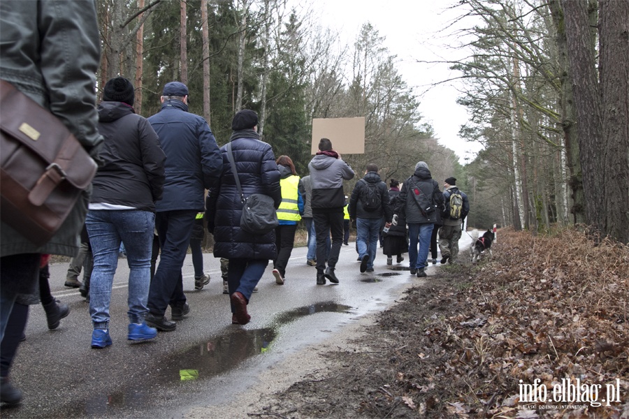 "Jest jeszcze szansa zatrzyma t dewastacj". Protest z wycink w tle, fot. 10