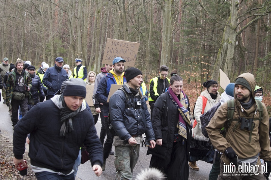 "Jest jeszcze szansa zatrzymać tę dewastację". Protest z wycinką w tle, fot. 12