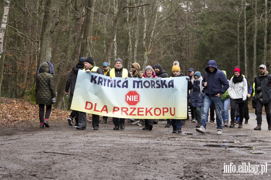 "Jest jeszcze szansa zatrzyma t dewastacj". Protest z wycink w tle, fot. 14