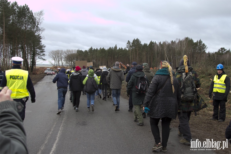 "Jest jeszcze szansa zatrzyma t dewastacj". Protest z wycink w tle, fot. 16