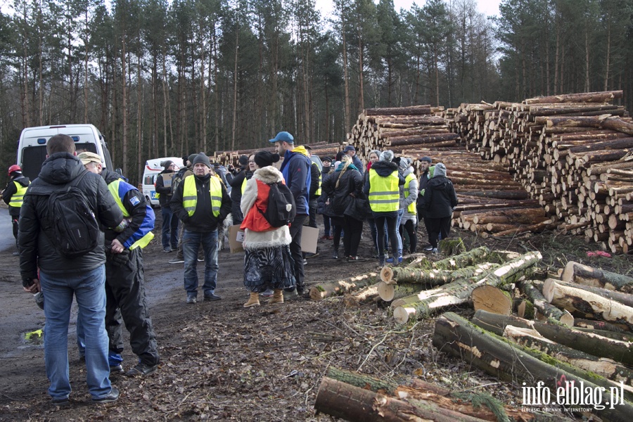 "Jest jeszcze szansa zatrzymać tę dewastację". Protest z wycinką w tle, fot. 19