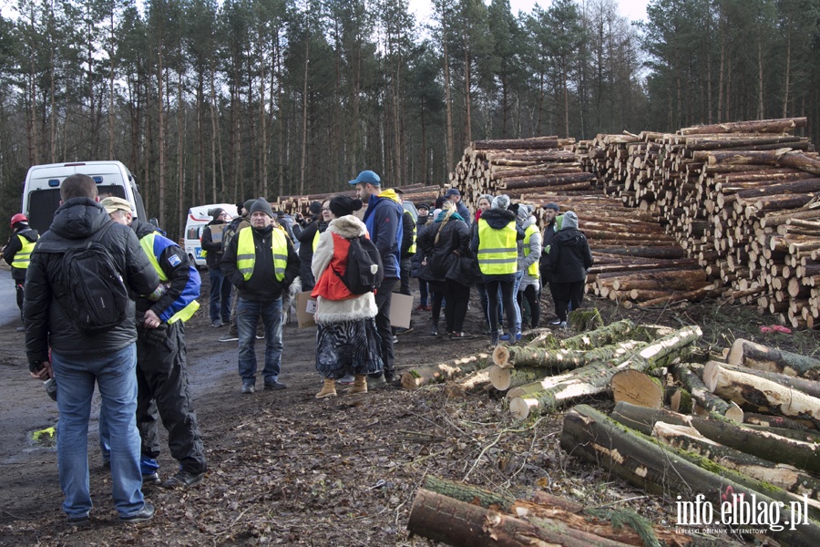 "Jest jeszcze szansa zatrzyma t dewastacj". Protest z wycink w tle, fot. 19