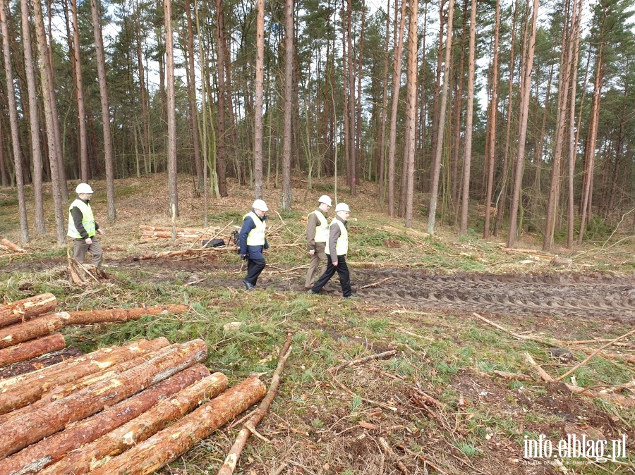 Zakoczenie wycinki drzew na terenie Przekopu Mierzei Wilanej, fot. 31