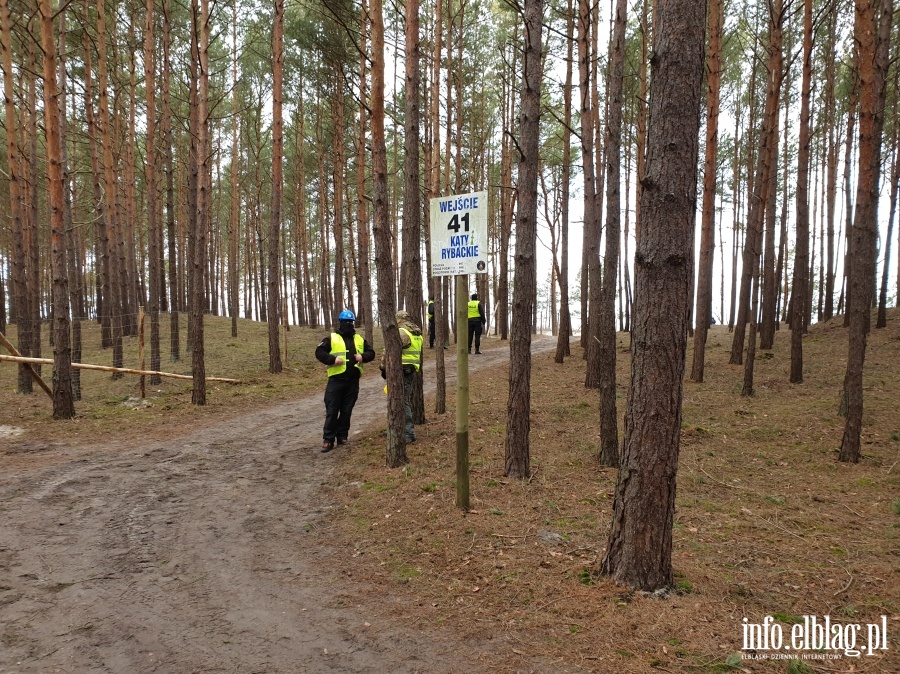Zakoczenie wycinki drzew na terenie Przekopu Mierzei Wilanej, fot. 37