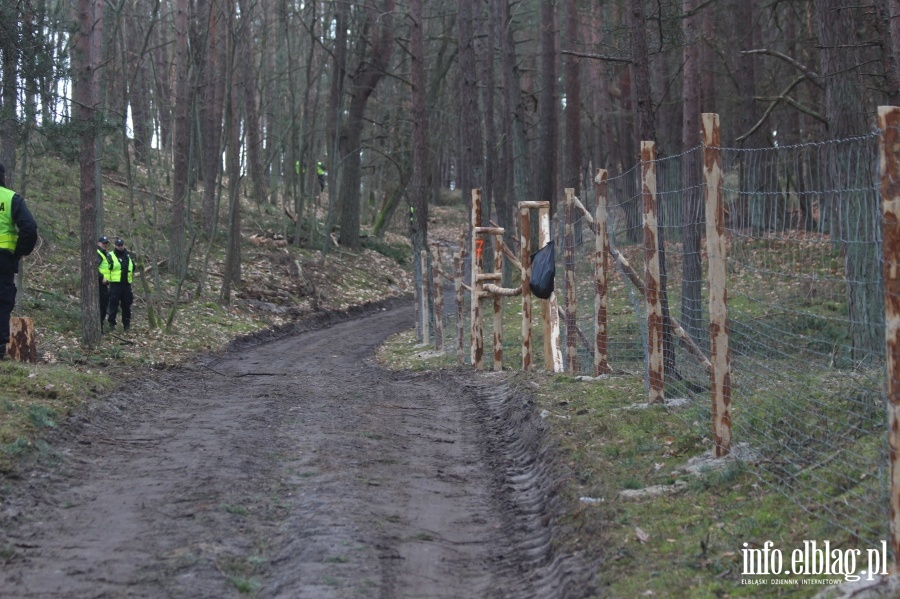 Zakoczenie wycinki drzew na terenie Przekopu Mierzei Wilanej, fot. 79