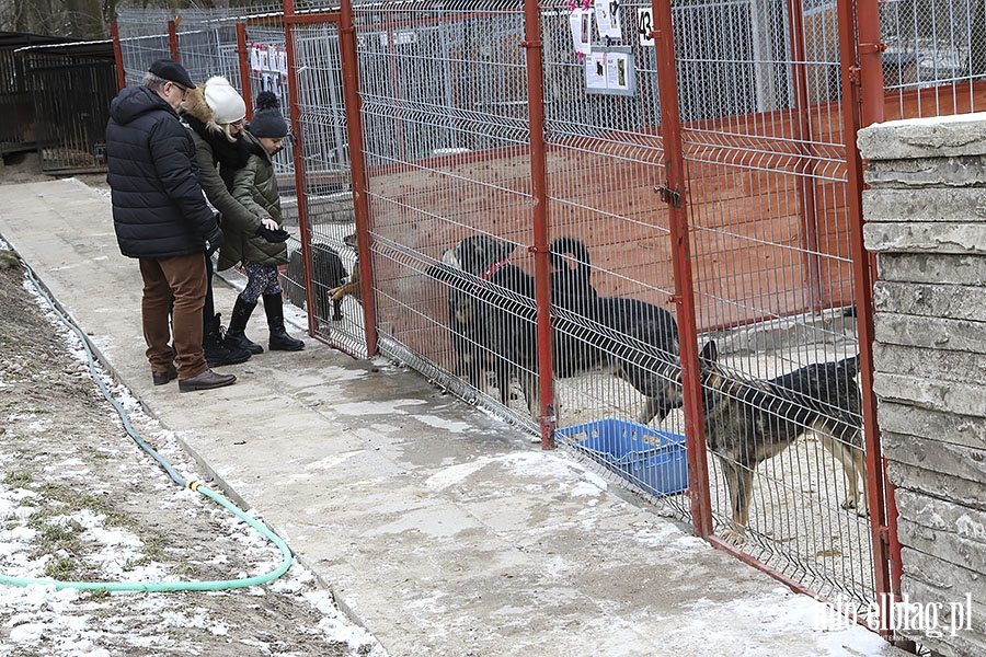 Bieg na 6 łap, fot. 2