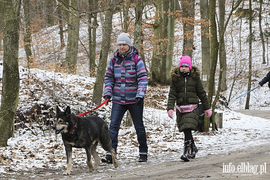 Bieg na 6 łap, fot. 51