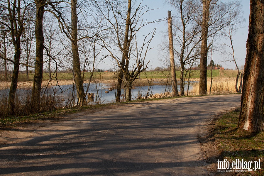 Co na temat Próchnika sądzą mieszkańcy tej dzielnicy?, fot. 10