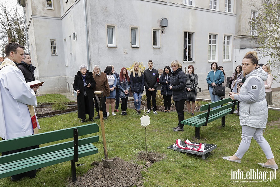 Posadzili db ku pamici kpt. Jzefa Antoniaka, fot. 12