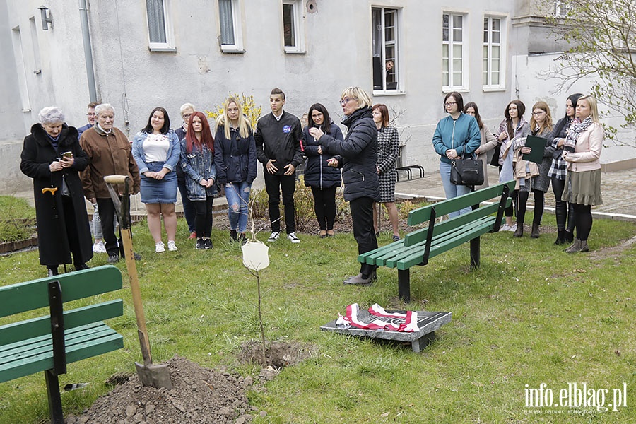 Posadzili db ku pamici kpt. Jzefa Antoniaka, fot. 13