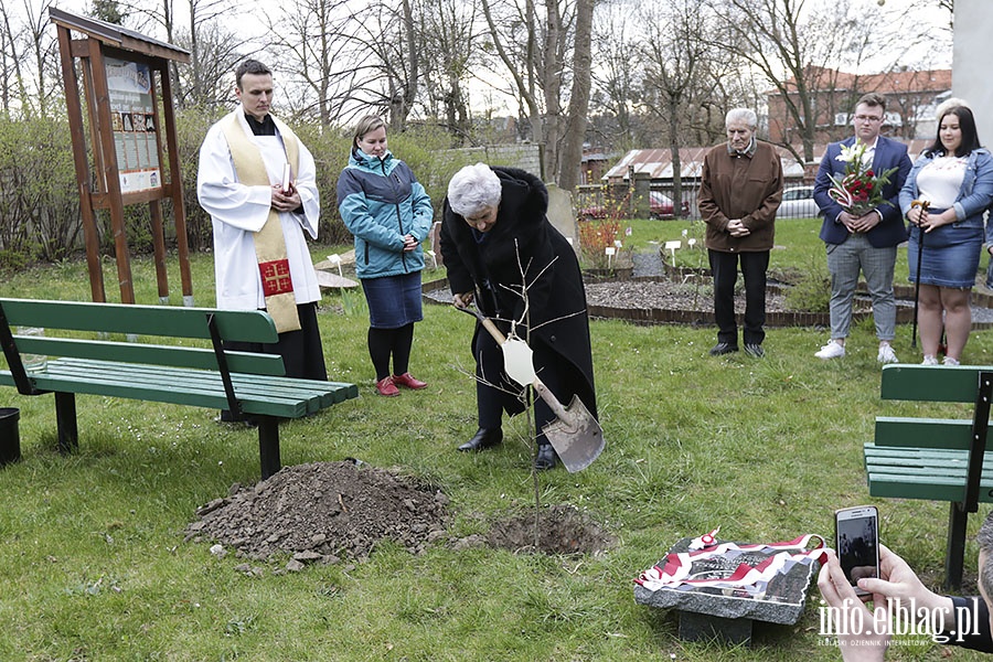 Posadzili db ku pamici kpt. Jzefa Antoniaka, fot. 16