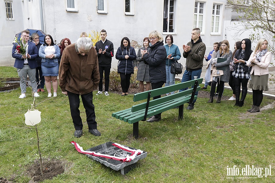 Posadzili db ku pamici kpt. Jzefa Antoniaka, fot. 20