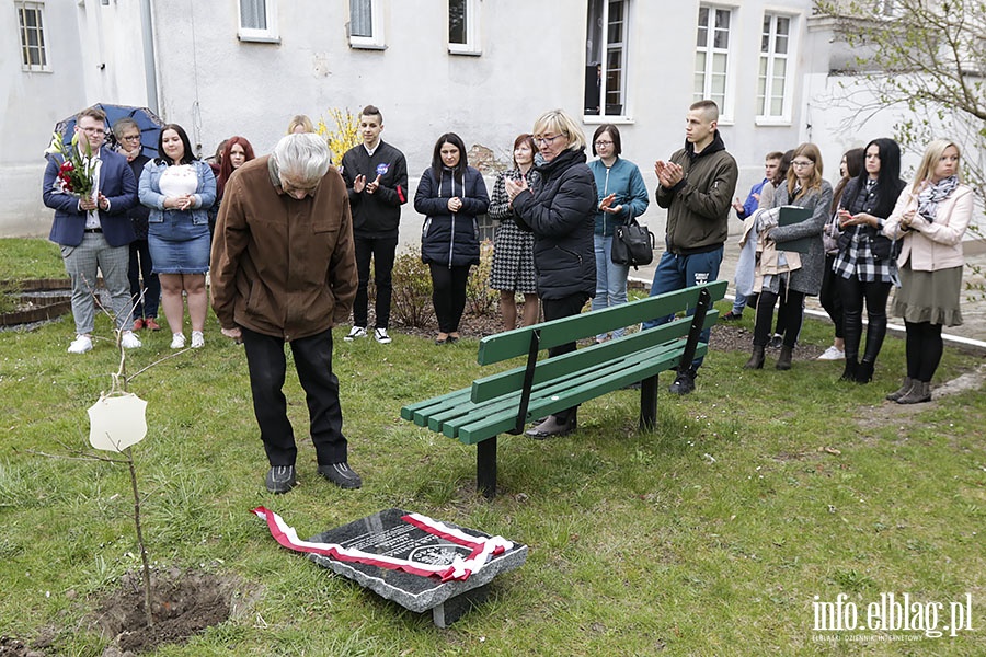 Posadzili db ku pamici kpt. Jzefa Antoniaka, fot. 20