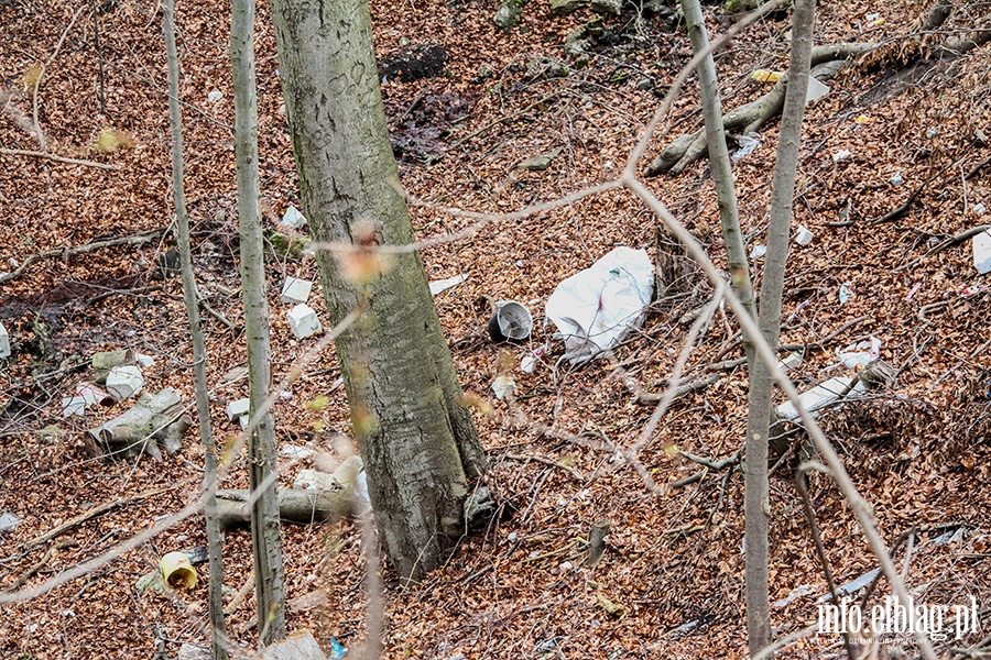 Co na temat Dębicy sądzą mieszkańcy tej dzielnicy?, fot. 15