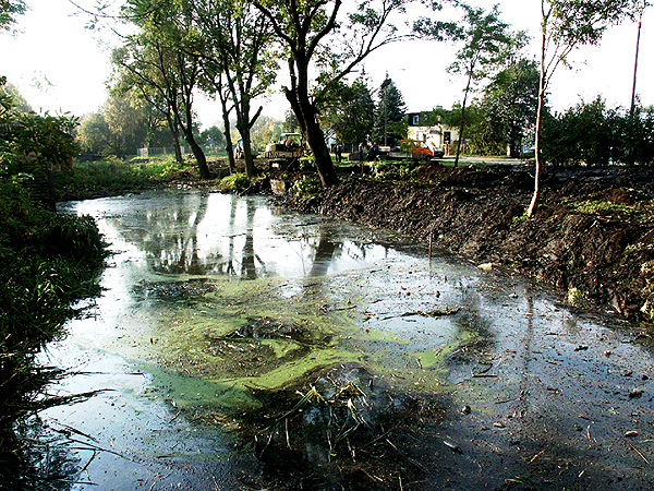 Wyspa Spichrzów, fot. 6