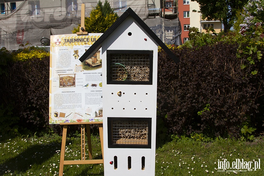 Galeria - "  Ju 4 budki dla pszcz powstay na terenie placwek szkolno-wychowawczych w naszym miecie ", fot. 2