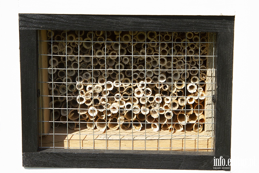 Galeria - "  Ju 4 budki dla pszcz powstay na terenie placwek szkolno-wychowawczych w naszym miecie ", fot. 3