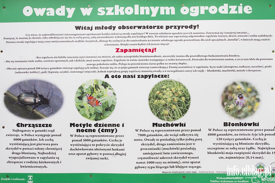 Galeria - "  Ju 4 budki dla pszcz powstay na terenie placwek szkolno-wychowawczych w naszym miecie ", fot. 39