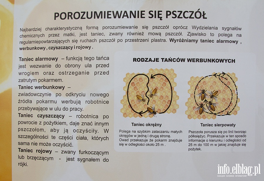 Galeria - "  Ju 4 budki dla pszcz powstay na terenie placwek szkolno-wychowawczych w naszym miecie ", fot. 47