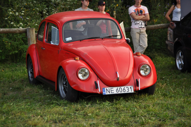Zlot mionikw marki Volkswagen, fot. 2
