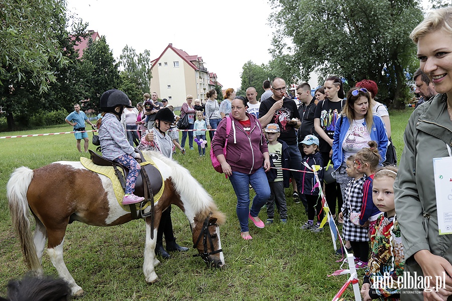 Festyn na Zatorzu, fot. 105