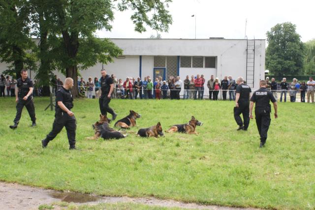 Festyn z okazji Święta Policji , fot. 33