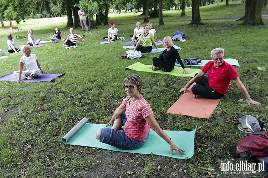 Park Modrzewie joga, fot. 6