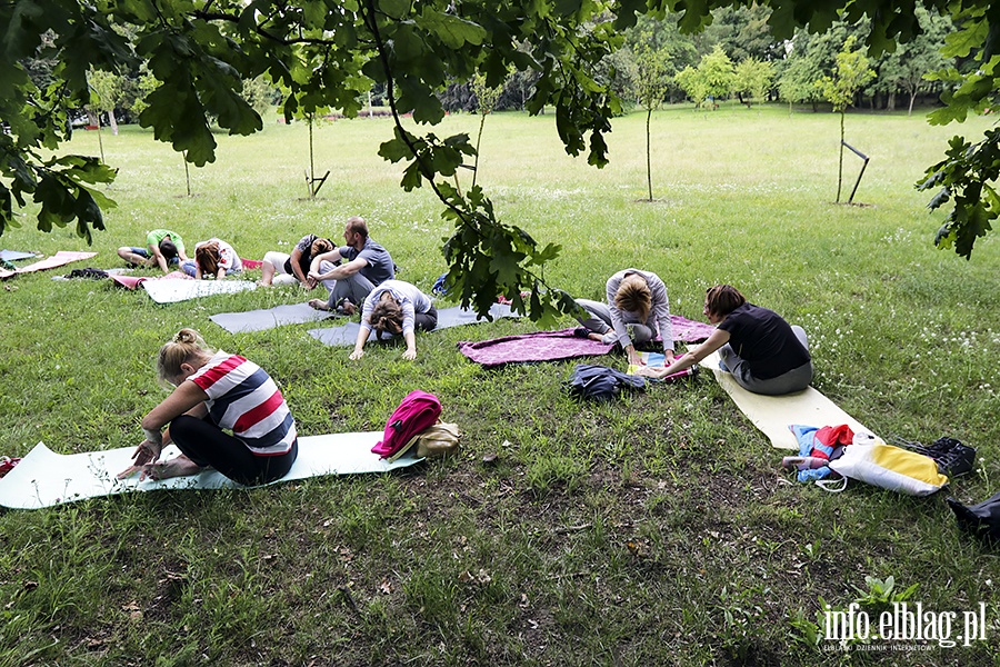 Park Modrzewie joga, fot. 10