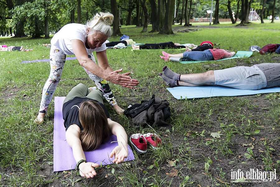 Park Modrzewie joga, fot. 26