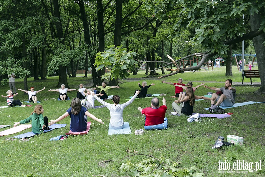 Park Modrzewie joga, fot. 31