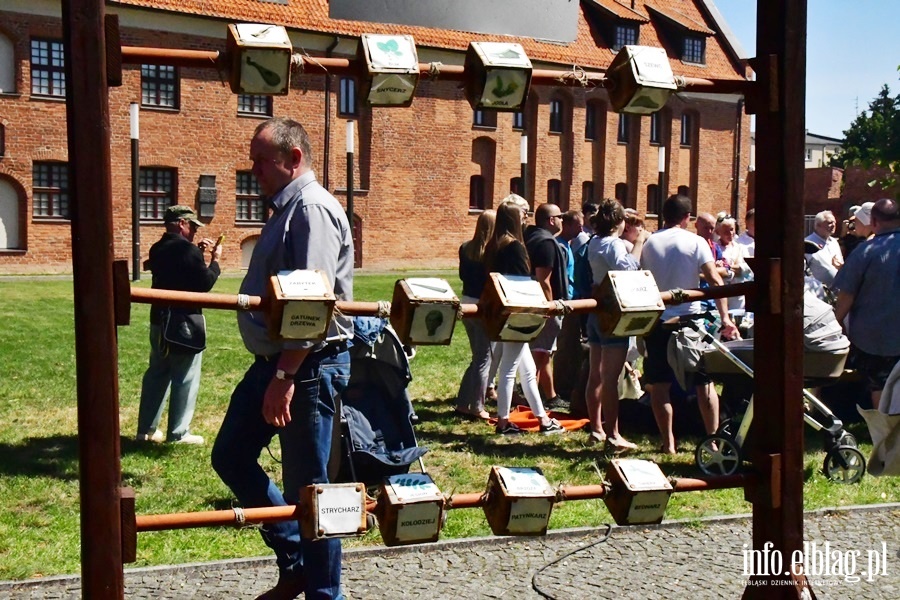 Spotkanie z XVIII wiekiem w Muzeum Archeologiczno-Historycznym w Elblgu , fot. 123