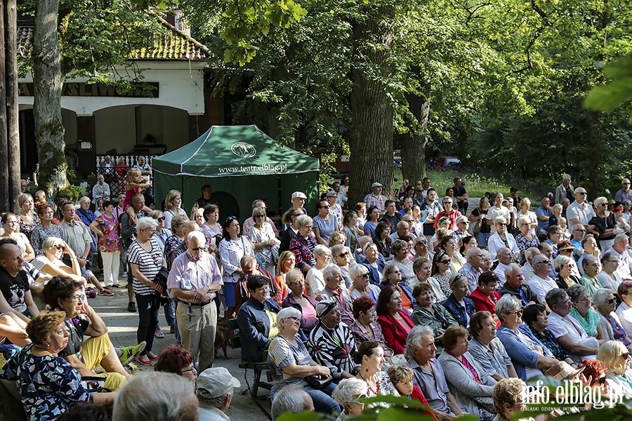 XXII Letni Salon Muzyczny Wieczr piosenek powanych i niepowanych., fot. 14