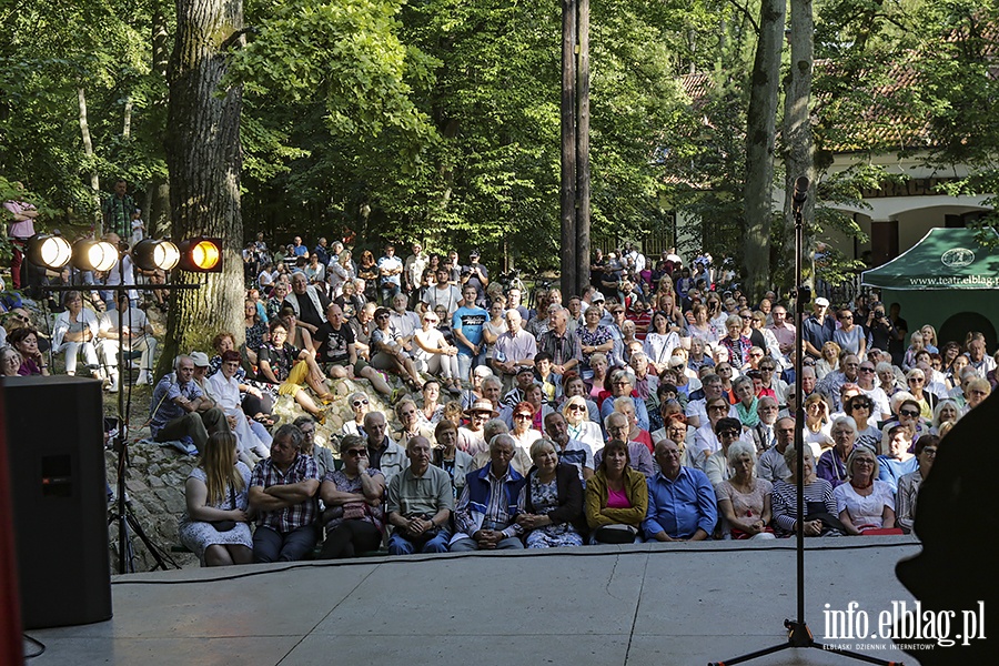 XXII Letni Salon Muzyczny Wieczr piosenek powanych i niepowanych., fot. 16